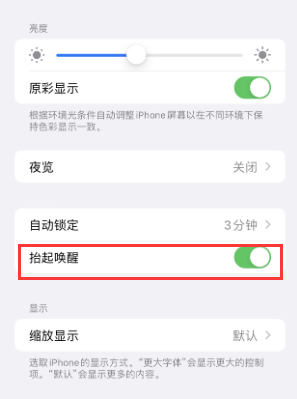 东乌珠穆沁苹果授权维修站分享iPhone轻点无法唤醒怎么办