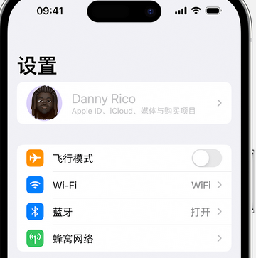 东乌珠穆沁appleID维修服务iPhone设置中Apple ID显示为灰色无法使用 