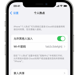 东乌珠穆沁apple服务站点分享iPhone上个人热点丢失了怎么办