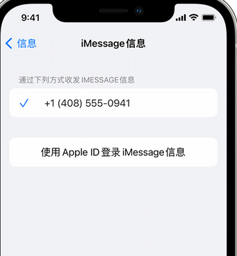 东乌珠穆沁apple维修iPhone上无法正常发送iMessage信息 