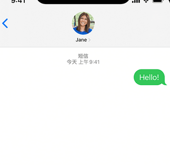 东乌珠穆沁apple维修iPhone上无法正常发送iMessage信息