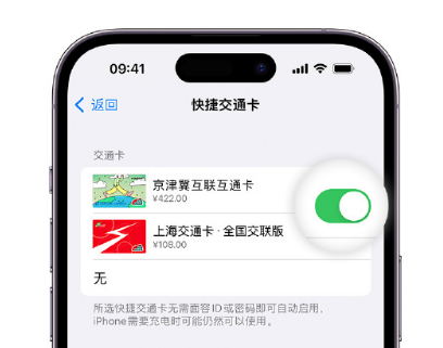 东乌珠穆沁apple维修点分享iPhone上更换Apple Pay快捷交通卡手绘卡面 