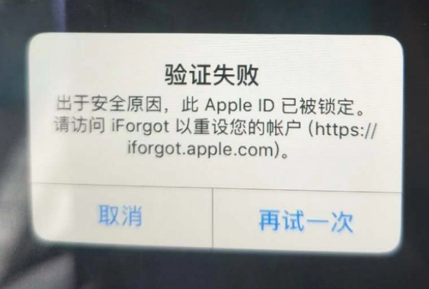 东乌珠穆沁iPhone维修分享iPhone上正常登录或使用AppleID怎么办 