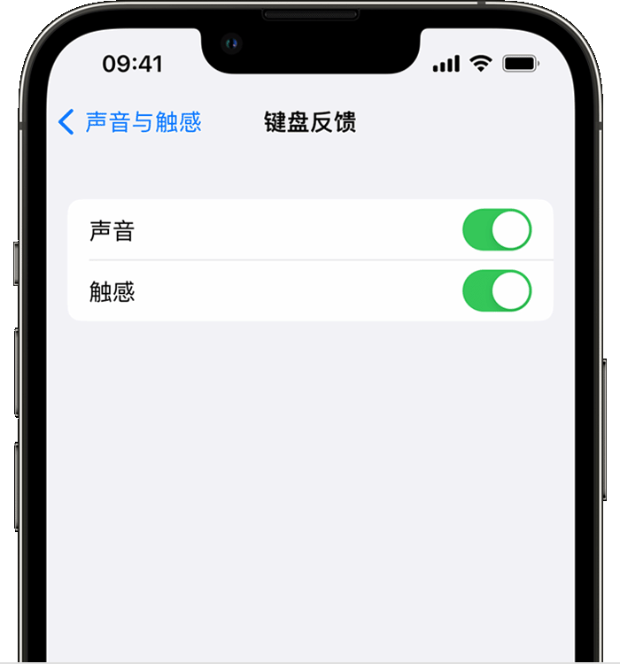 东乌珠穆沁苹果14维修店分享如何在 iPhone 14 机型中使用触感键盘 