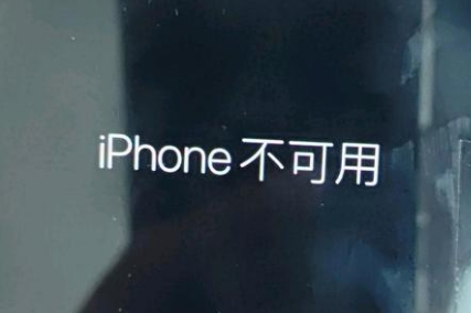 东乌珠穆沁苹果服务网点分享锁屏界面显示“iPhone 不可用”如何解决 