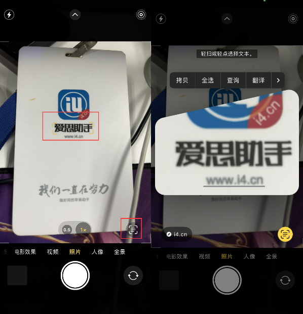 东乌珠穆沁苹果手机维修分享升级iOS 16后如何通过相机翻译文本 
