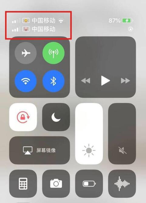 东乌珠穆沁苹果手机维修分享为 iPhone 12 双卡设置标签 